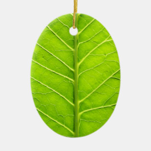 Ornement Ovale En Céramique Feuille verte