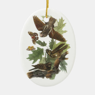 Ornement Ovale En Céramique Fouet-pauvre-, John Audubon
