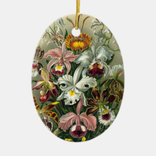 Ornement Ovale En Céramique Haeckel Orchids