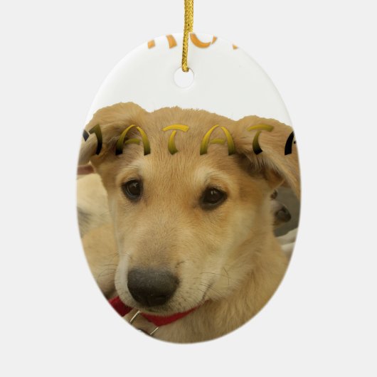 Ornement Ovale En Céramique Hakuna Matata Je sais ce que vous pensez pinctur (Devant)