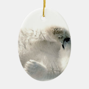 Ornement Ovale En Céramique Hiver congelé arctique animal mignon de CUB d'ours