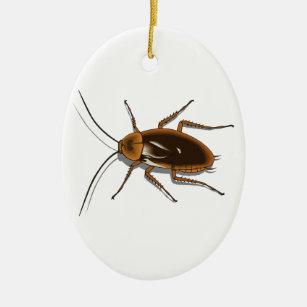 Ornement Ovale En Céramique Insecte Brown réaliste de cancrelat