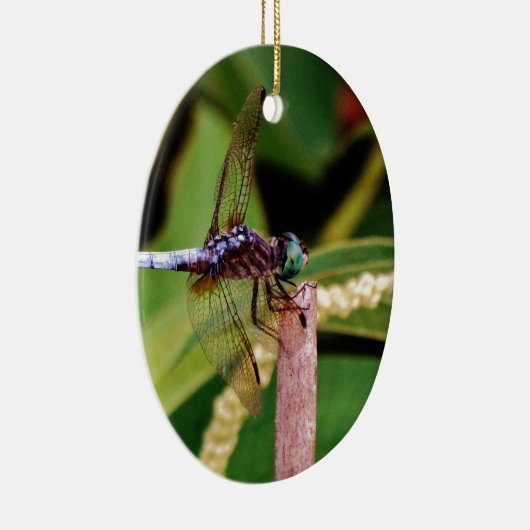 Ornement Ovale En Céramique libellule avec fleurs blanches (Droite)