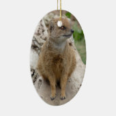 Ornement Ovale En Céramique mangouste jaune (Droite)