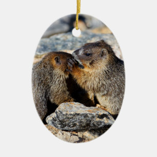 Ornement Ovale En Céramique Marmottes de bébé