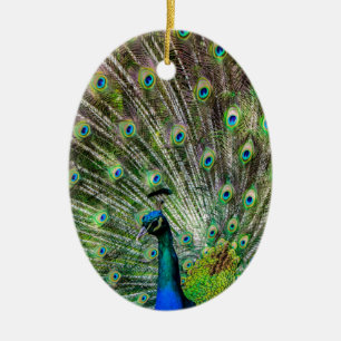 Ornement Ovale En Céramique Peacock étonnant et plumes accessoires photo