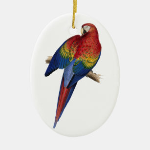 Ornement Ovale En Céramique Perruche de perroquet d'oiseau d'ara