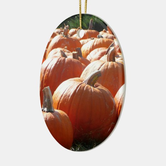 Ornement Ovale En Céramique Photo citrouille pour automne, Halloween ou Thanks (Gauche)