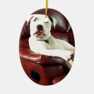 Ornement Ovale En Céramique pitbull blanc drôle sur le canapé