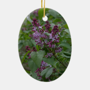 Ornement Ovale En Céramique Ressort/Pâques : Agneau curieux, lylacs lyriques