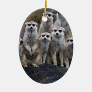 Ornement Ovale En Céramique Safari animal Afrique Suricate mignon de Meerkat