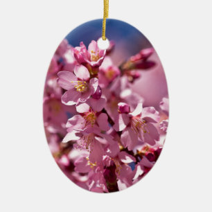 Ornement Ovale En Céramique Sakura Cherry Blossoms embrassés par Sunlight
