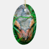 Ornement Ovale En Céramique Serpent d'Anaconda (Droite)