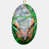 Ornement Ovale En Céramique Serpent d'Anaconda (Gauche)