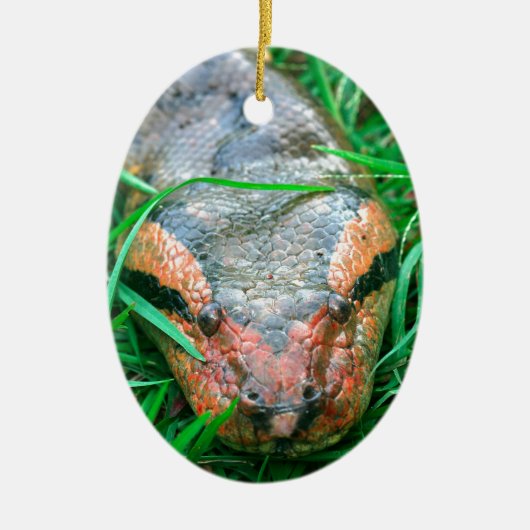 Ornement Ovale En Céramique Serpent d'Anaconda (Devant)