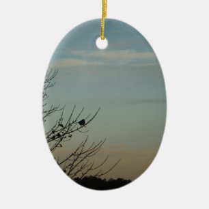 Ornement Ovale En Céramique Silhouette d'oiseau bleu Poudre Ciel bleu