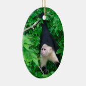 Ornement Ovale En Céramique Singe capucin à visage blanc (Droite)