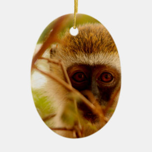 Ornement Ovale En Céramique Singe effronté.