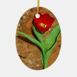 Ornement Ovale En Céramique Tulipe jaune et rouge