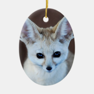 Ornement Ovale En Céramique Worlest Cutest Fennec Fox