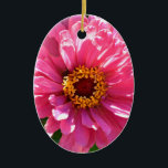 Ornement Ovale En Céramique Zinnia rose<br><div class="desc">pretty pink</div>