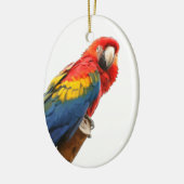 Ornement ovale Scarlet Macaw (Gauche)