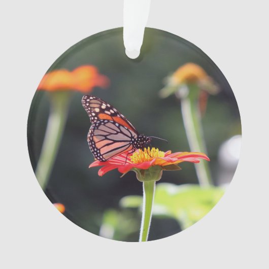 Ornement papillon (devant)