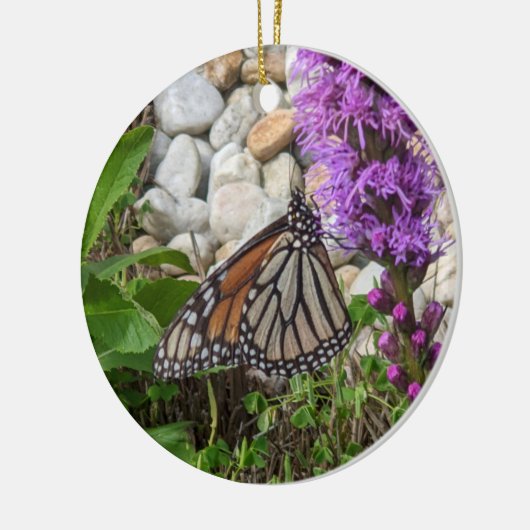 ornement papillon (Gauche)