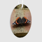 Ornement Papillon Amiral Rouge (devant)