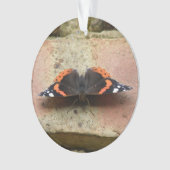 Ornement Papillon Amiral Rouge (devant)