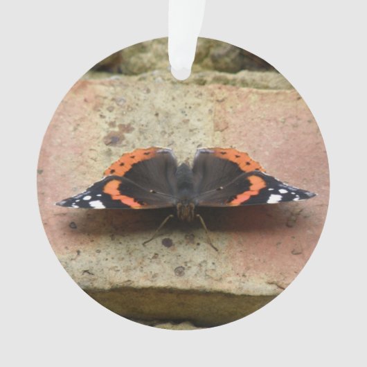 Ornement Papillon Amiral Rouge (devant)