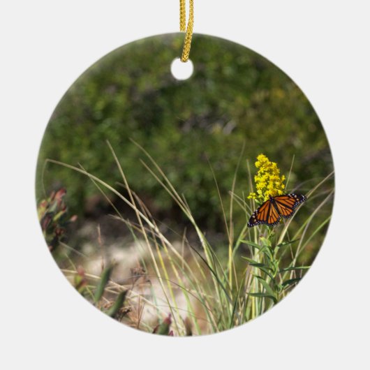 Ornement Papillon avec Fleurs Sauvages Jaunes (Devant)