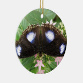 Ornement papillon tacheté bleu (Droite)