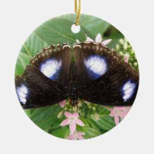 Ornement papillon tacheté bleu