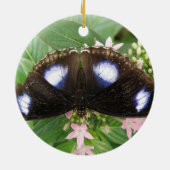 Ornement papillon tacheté bleu (Dos)