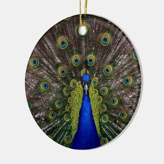 Ornement Peacock (Gauche)