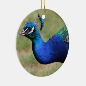 Ornement Peacock (Droite)