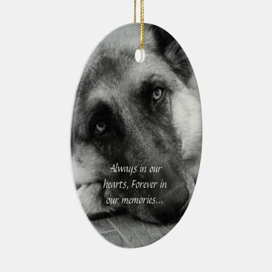 Ornement perdu d'animal familier (Droite)