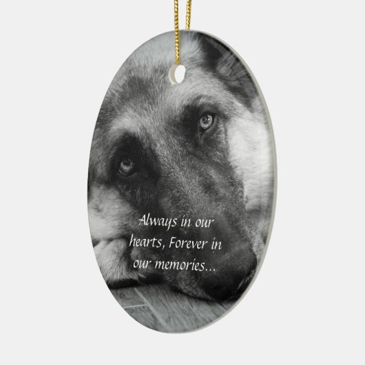 Ornement perdu d'animal familier (Gauche)