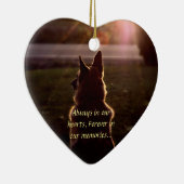 Ornement perdu d'animal familier (Droite)