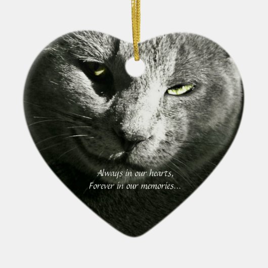 Ornement perdu d'animal familier (Devant)