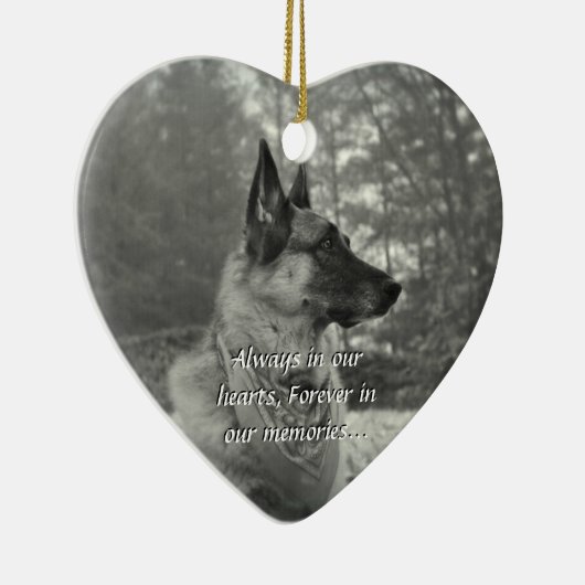 Ornement perdu d'animal familier (Droite)