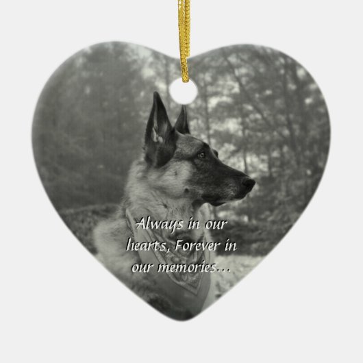 Ornement perdu d'animal familier (Devant)