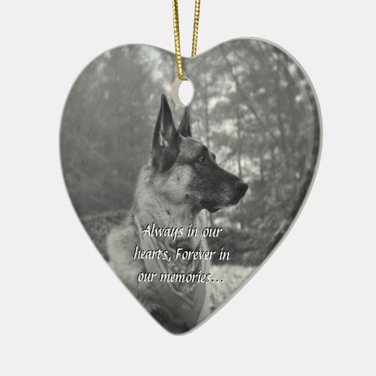 Ornement perdu d'animal familier (Gauche)