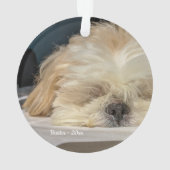 Ornement personnalisé de chiot chien animal de com (dos)