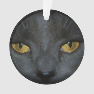 Ornement personnalisé par chat gris adorable de
