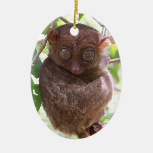 Ornement philippin de Tarsier