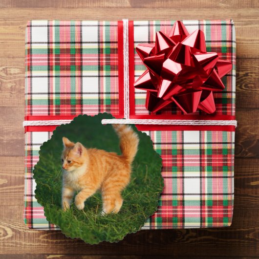 Ornement photo Cute Ginger Kitten (Insitu (Cadeau))