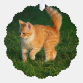 Ornement photo Cute Ginger Kitten (Verso)