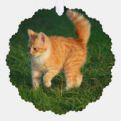 Ornement photo Cute Ginger Kitten (Recto)